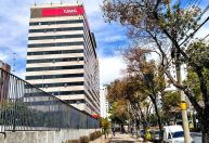 Brasileiro é condenado por promover e integrar o Estado Islâmico