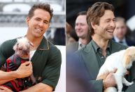 Ryan Reynolds e Glen Powell levam cachorros a pré-estreias; veja fotos
