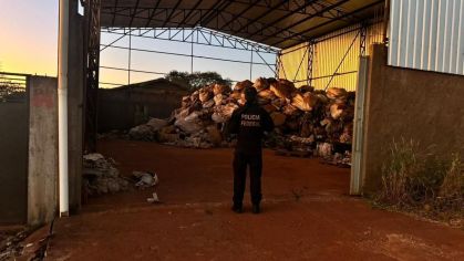 Empresas de sucata eram usadas pelo grupo para esconder a droga