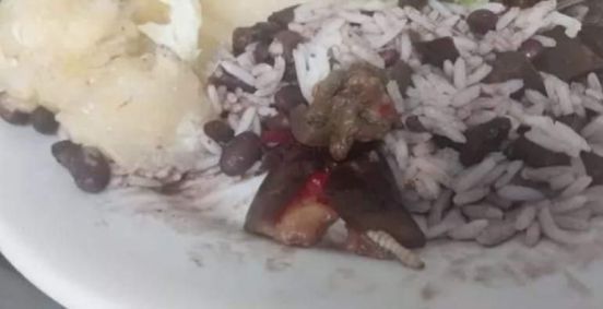 Larva foi encontrada em refeição servida por hospital estadual em Santa Catarina