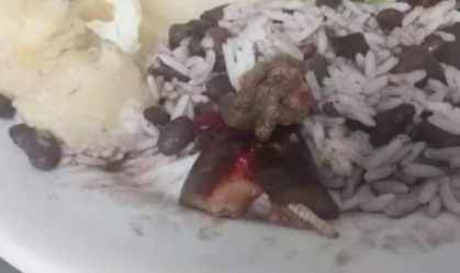 Larva foi encontrada em refeição servida por hospital estadual em Santa Catarina