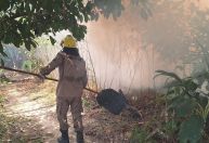Amazonas decreta situação de emergência em 20 municípios por conta da seca