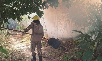 Amazonas decreta situação de emergência em 20 municípios por conta da seca