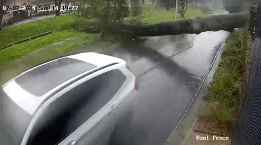 Imagens mostram árvore quase esmagando carro na África do Sul