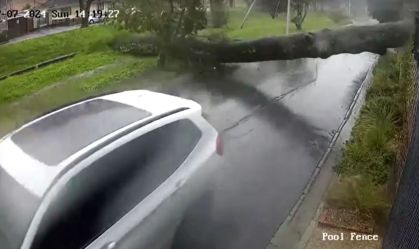 Imagens mostram árvore quase esmagando carro na África do Sul
