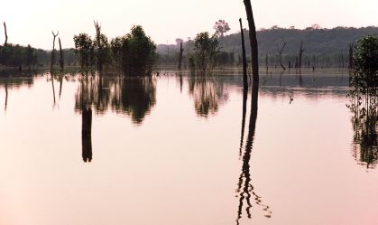 Agência Nacional de Águas declara "situação crítica" em rios do Amazonas