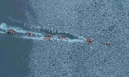 Mostra Ecofalante exibirá 122 filmes sobre temas socioambientais em SP