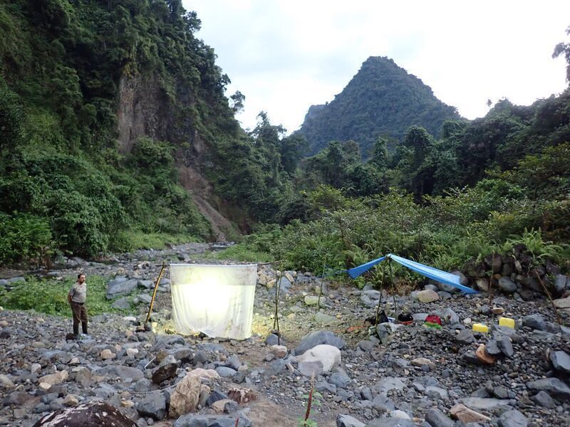 Trinta cientistas de diferentes universidades e grupos de conservação participaram da expedição, especializados em uma ampla gama de espécies. Na foto, montam uma armadilha de luz em Makira para investigar invertebrados durante a noite / Merlijn Jocque