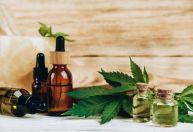 Cannabis medicinal: médica desvenda 10 mitos sobre seu uso