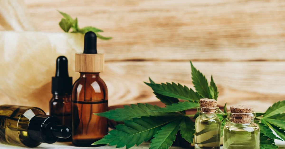 Anvisa publica regras para o cultivo de cannabis no Brasil; veja quais são | CNN Brasil
