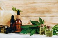 Cannabis medicinal: médica desvenda 10 mitos sobre seu uso