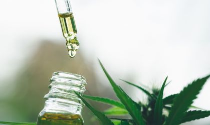 Governo de SP veta projeto que inclui cannabis medicinal no Remédio Popular