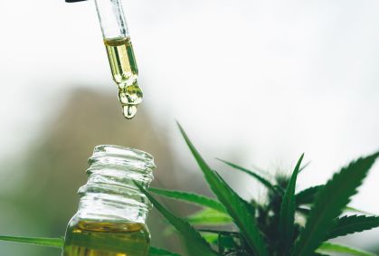 Além da Embrapa, quem pode cultivar cannabis no Brasil?