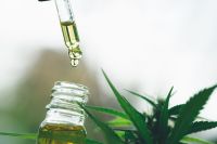 Governo Federal pede mais prazo para regulamentação da cannabis medicinal