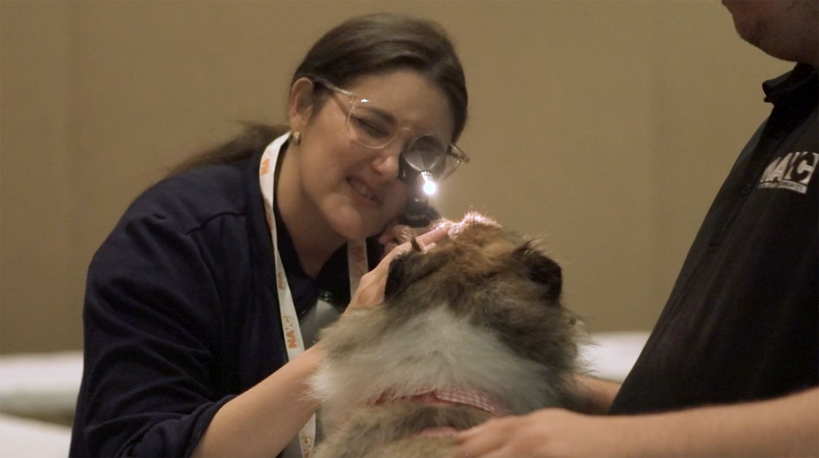 Nesta captura de tela do vídeo, um cão recebe um exame oftalmológico durante treinamento pela Comunidade Veterinária da América do Norte / North American Veterinary Community