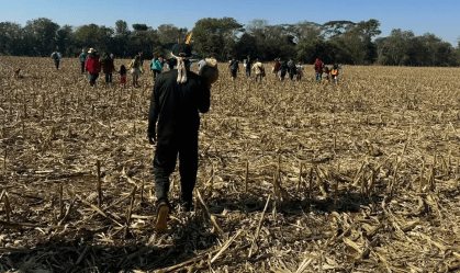 MS: Comitiva do governo federal visita áreas de conflitos indígenas