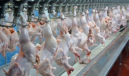Projeto para destinação de carcaça e dejetos de animais mortos está em debate na Assembleia de SC