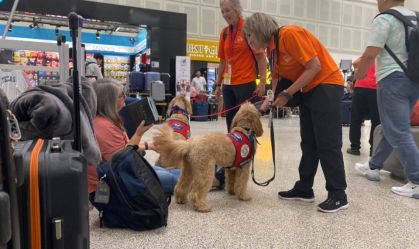 Cães confortam passageiros de voos atrasados ou cancelados em Houston