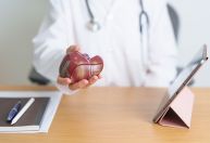 Estudo mostra como estresse pode levar à produção de glicose no fígado
