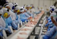 Alta de preços ao produtor desacelera a 0,61% em agosto, diz IBGE