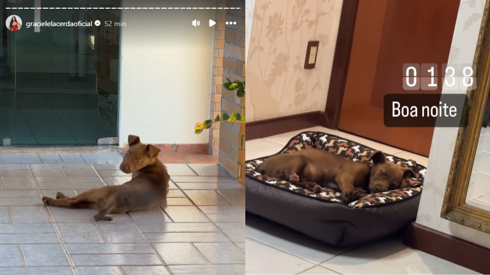 Graciele Lacerda mostrou cenas de Paçoca pela casa andando com um bicho de pelúcia na boca e dormindo já de madrugada / Instagram/Graciele Lacerda
