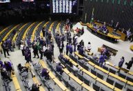 Isenção para carne: saiba como votaram os deputados no projeto da reforma tributária