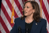 Democratas aprovam regras para provável oficialização de Kamala Harris como candidata