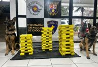 Polícia de SP prende grupo que realizava delivery de 