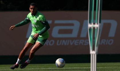 Michel, zagueiro do Palmeiras