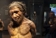 Análise de DNA ajuda a explicar fim dos neandertais