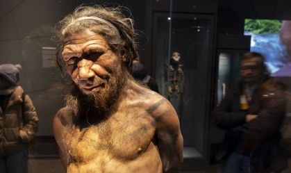 Análise de DNA ajuda a explicar fim dos neandertais