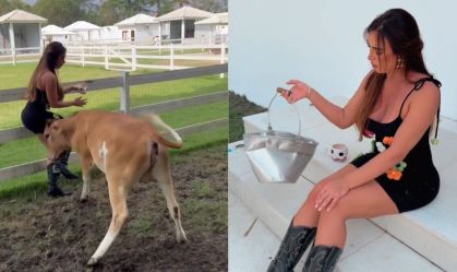 Nicole Bahls é atacada por vaca em seu sítio: "Ana Castela está muito atentada"