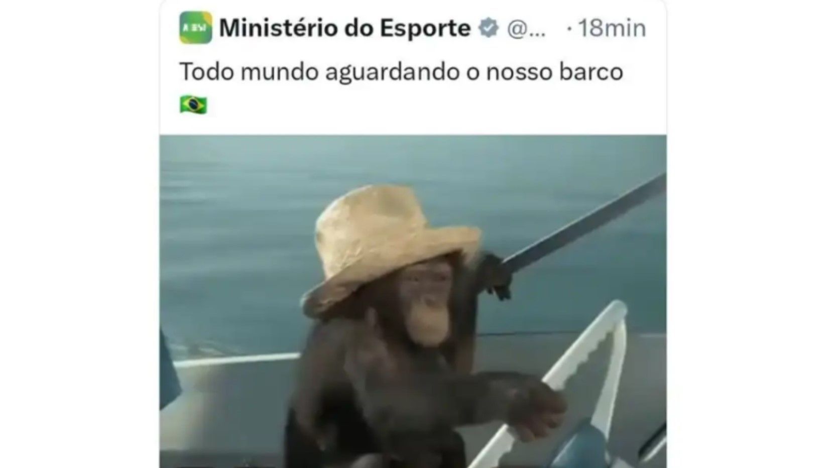 postagem macaco