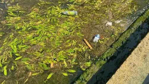 Sujeira no rio Sena adiou a prova do triatlo em Paris 2024