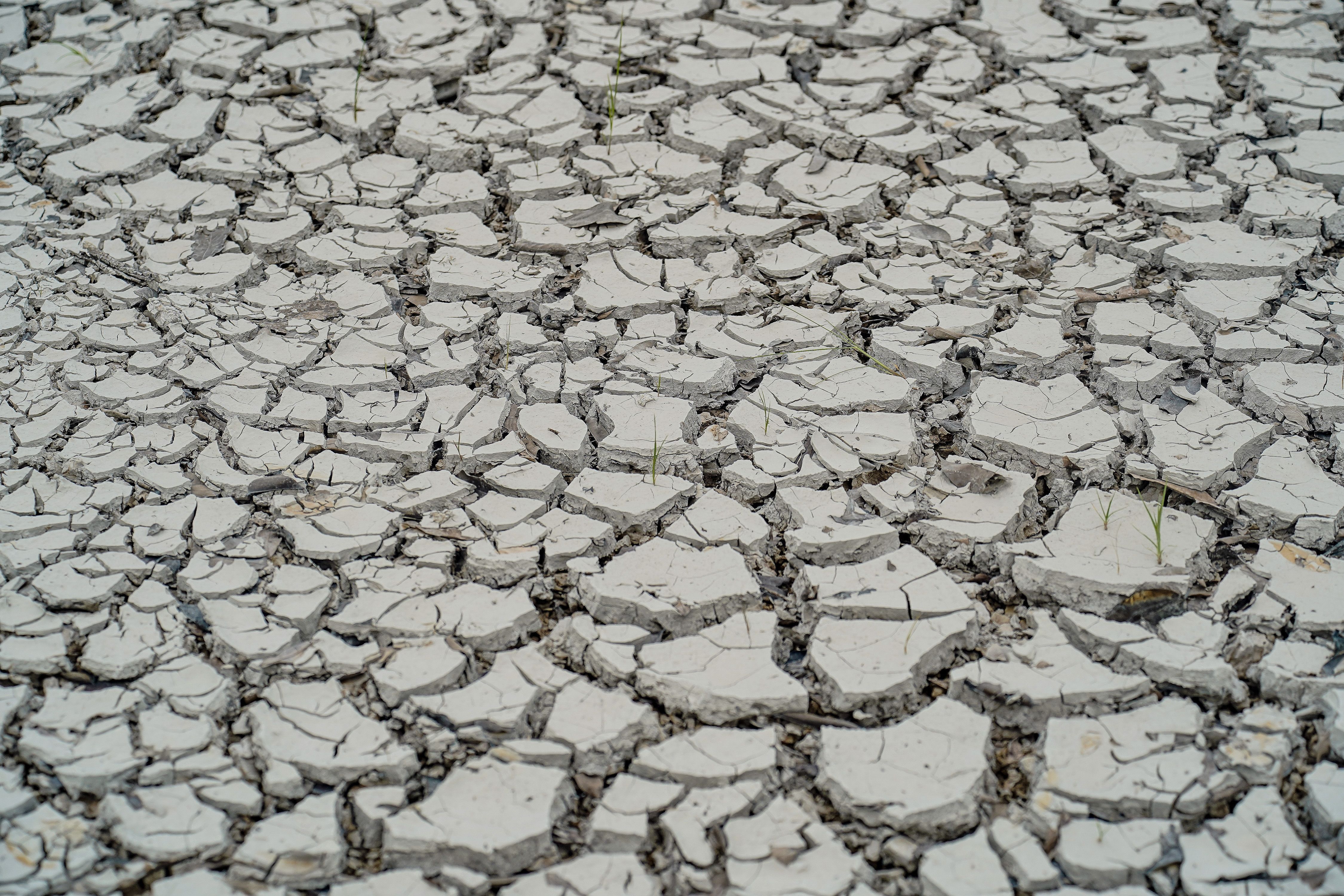 Seca no Amazonas