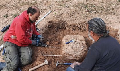 Fóssil de tatu gigante indica que Américas foram povoadas há mais de 25 mil anos