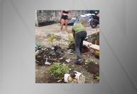 Homem destrói jardim de área de convivência de terreiro de candomblé em Pernambuco