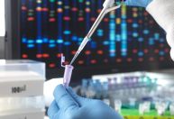 Cientistas criam teste genético para identificar cegueira em cães