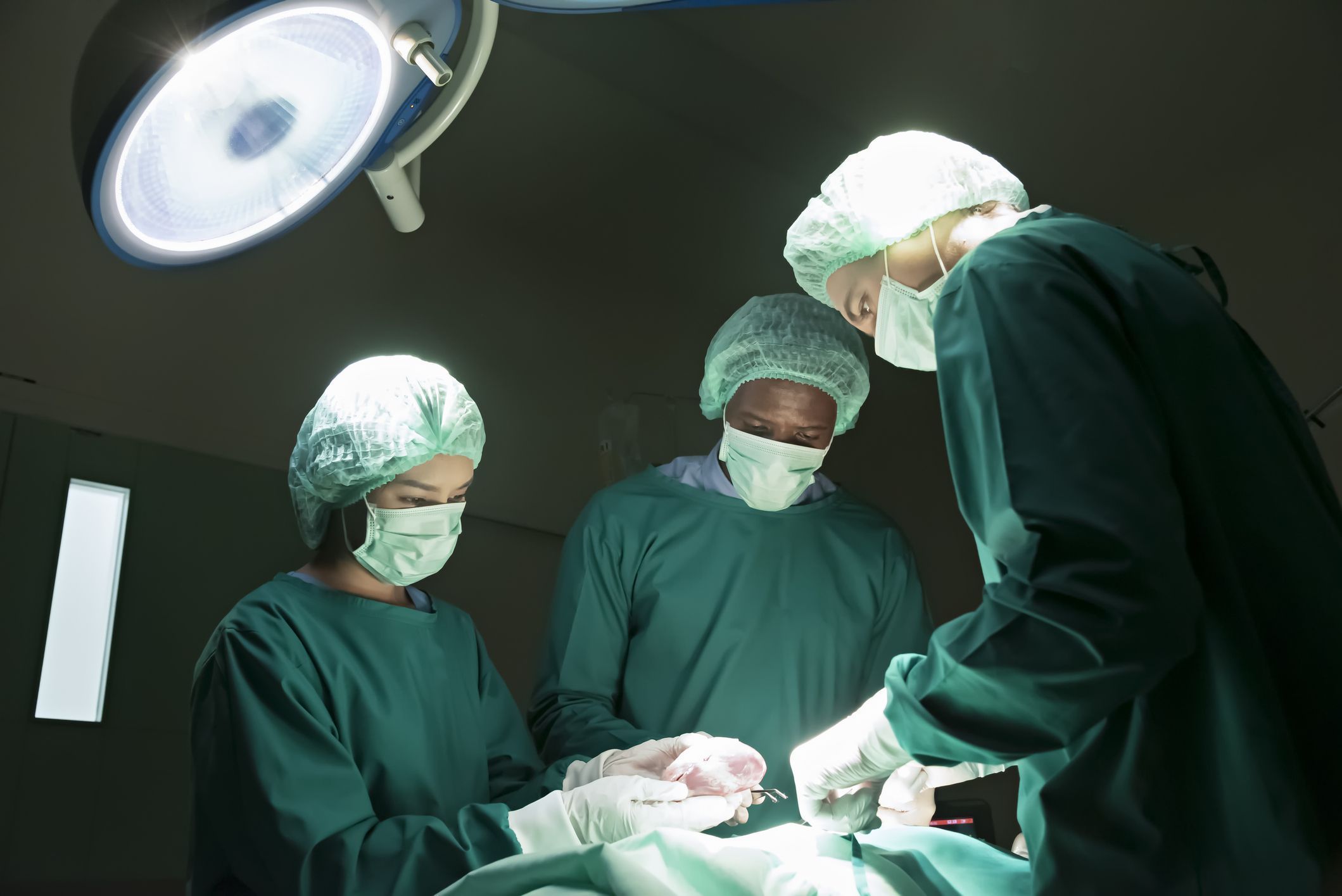 Transplante