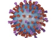Bronquiolite: complicações causadas por VSR crescem em 2024 no Brasil