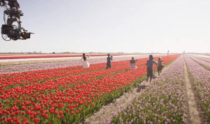 Mais de 9 milhões de tulipas foram plantadas para "Wicked"; veja bastidores