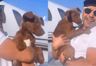 Zezé Di Camargo mostra cachorro que adotou em show; veja fotos