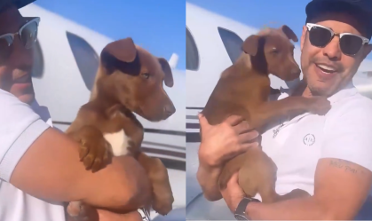 Caminho que o cachorro fez foi registrado pelo cantor, que levou o bichinho para sua casa de avião e, já na fazenda, brincou com ele em cima de um trator