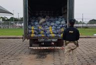 PRF apreende 4,5 toneladas de alho contrabandeadas da Guiana