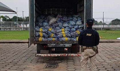 PRF apreende 4,5 toneladas de alho contrabandeadas da Guiana