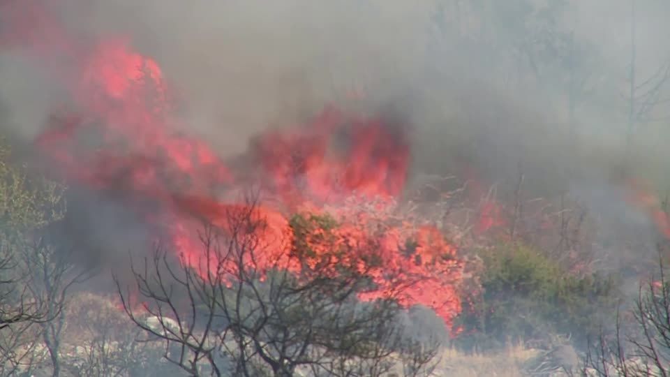 As morning breaks, firefighters continue to battle raging wildfire near Athens