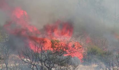 Incêndio florestal descontrolado desloca moradores de Atenas 