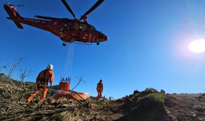 RJ registra aumento de 85% nos casos de incêndios florestais