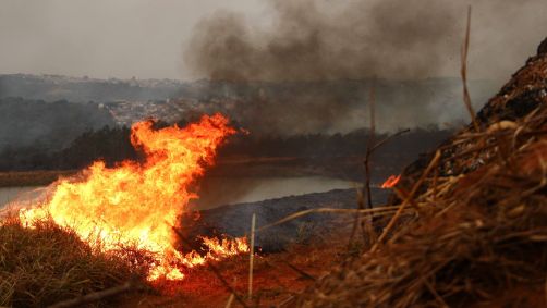 Autoridades acreditam que maioria dos incêndios foram causados pela ação humana