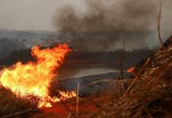 São Paulo terá risco máximo de emergência para incêndios em quase todas as regiões; veja mapa